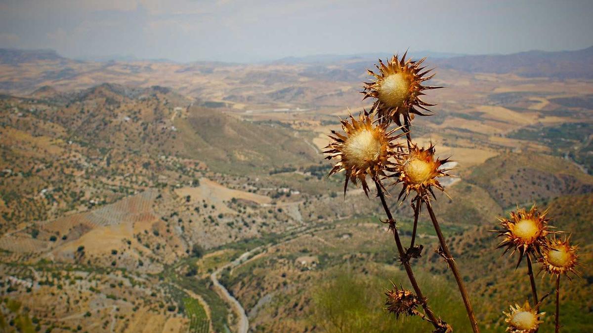 翁帆发文悼念杨振宁的话