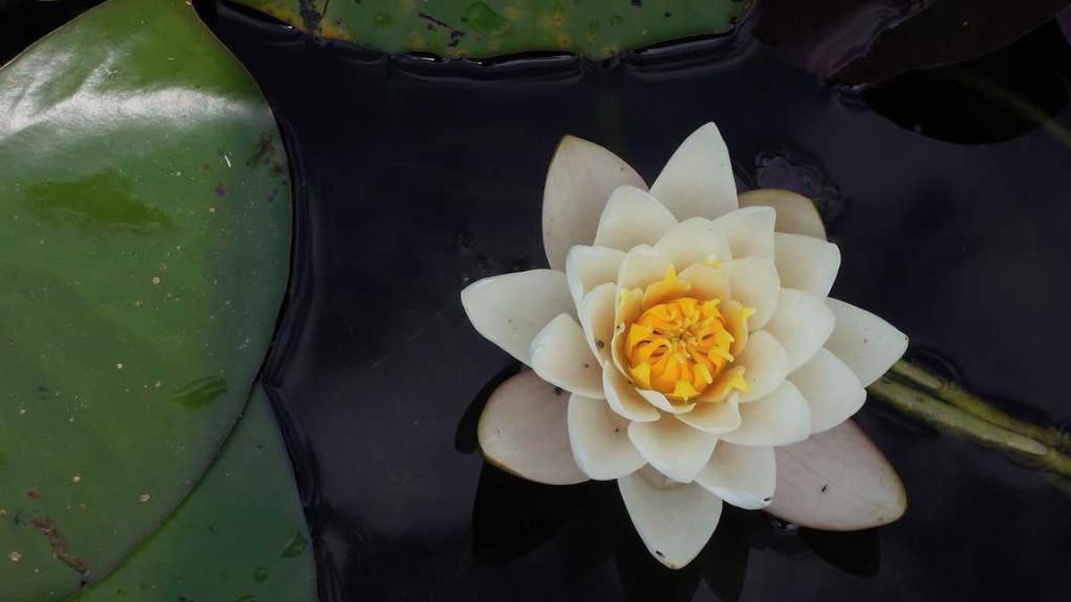 河南省安阳市现任市委领导简介