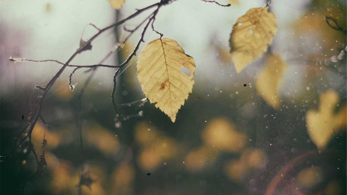 潮汕机场跟揭阳机场的区别