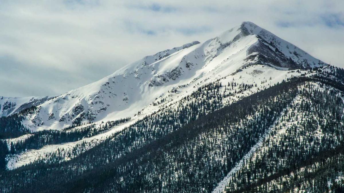 苏州十大特产必买清单