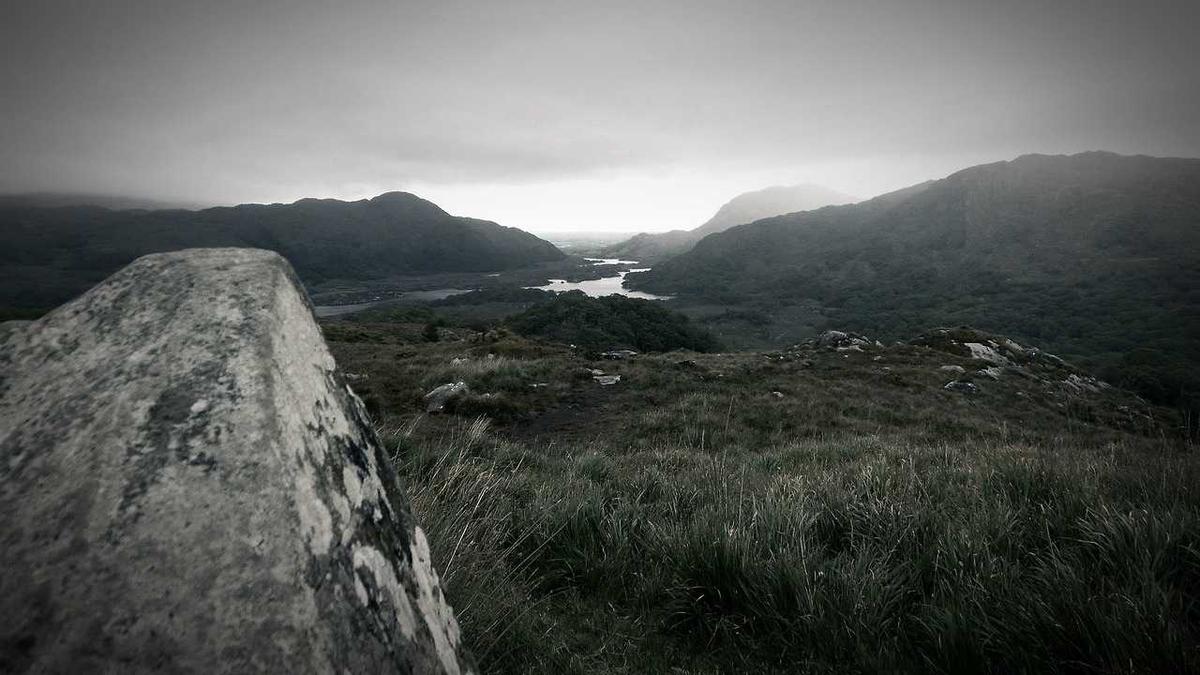 遂宁组工网怎么查排名