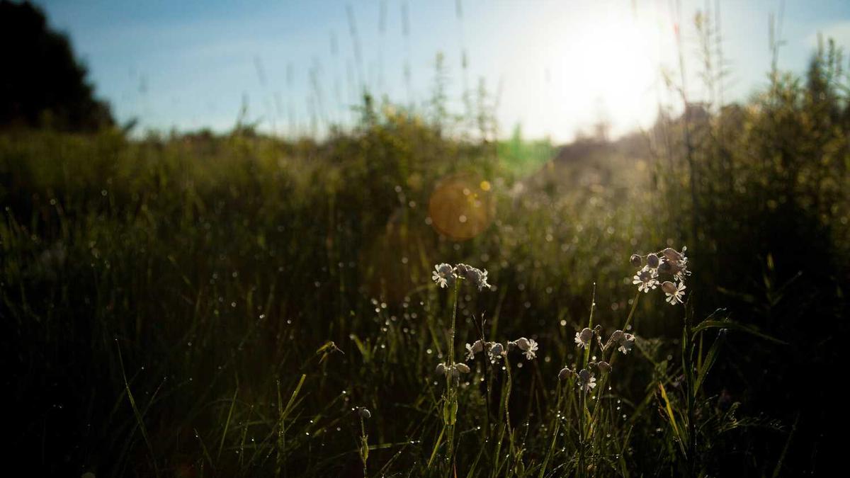 旋钮开关怎么安装 及厂家价格介绍
