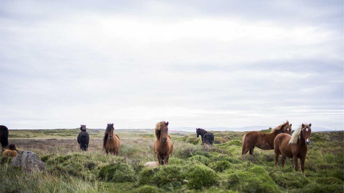湛江和防城港哪个好玩