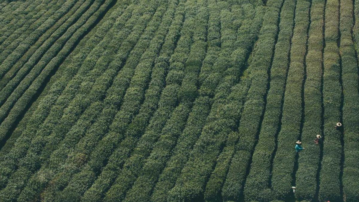 辽宁葫芦岛十大旅游景点