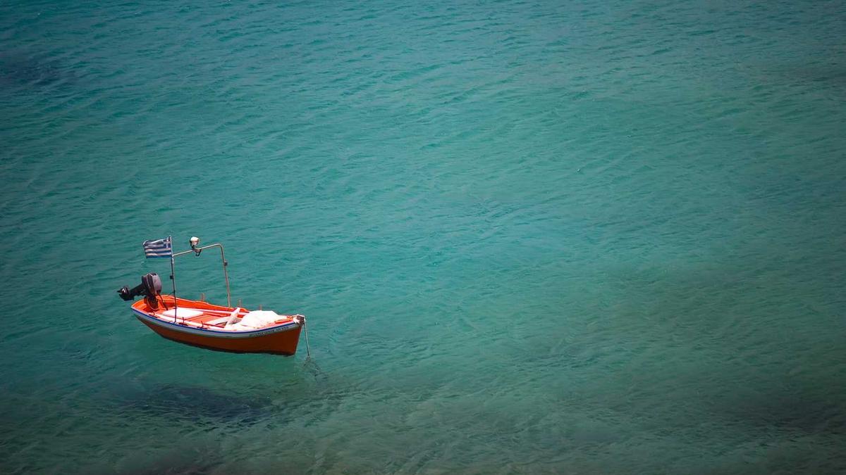 总台新闻新媒体中心二零二四年创新节目片单