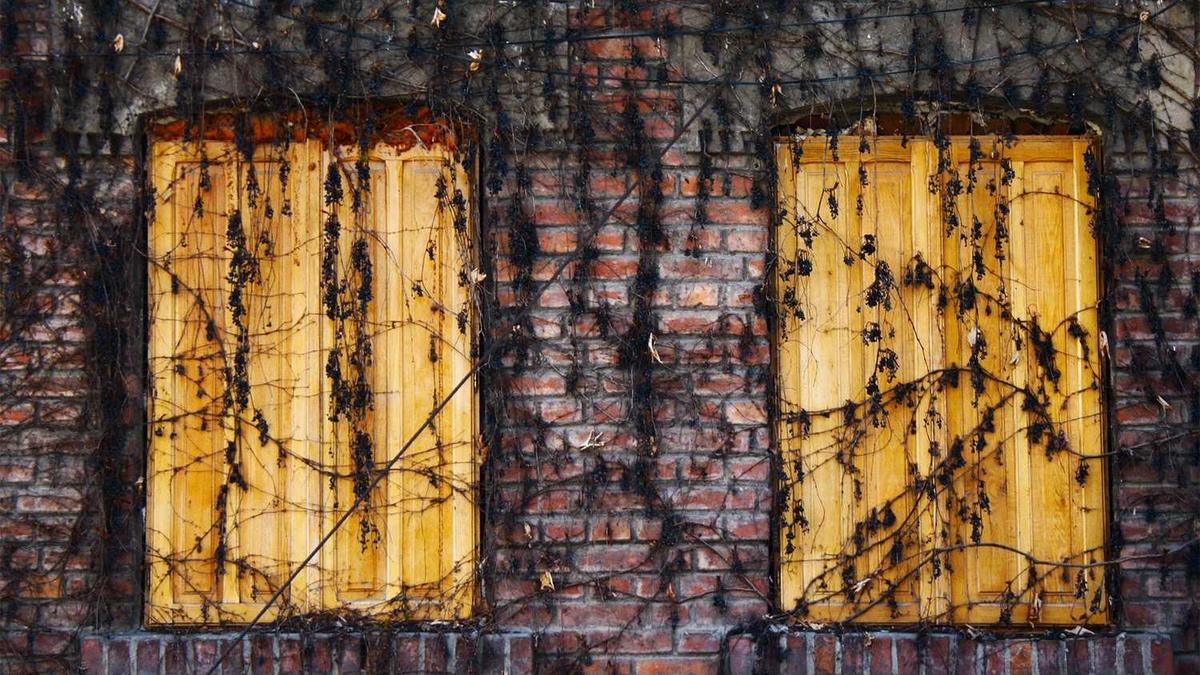 #世界低估了美国全球网络窃密的危害 揭秘西工大网络攻击事件