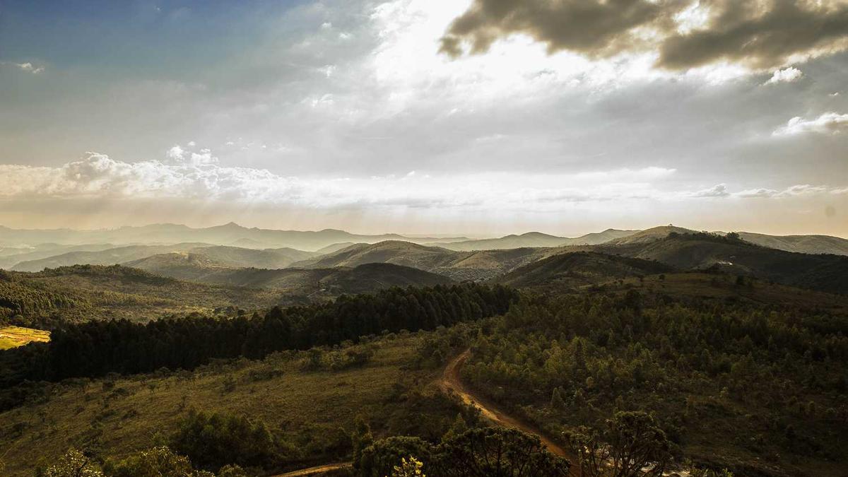 信阳的孔雀岛好玩吗