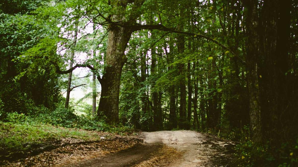 香格里拉离丽江有多远