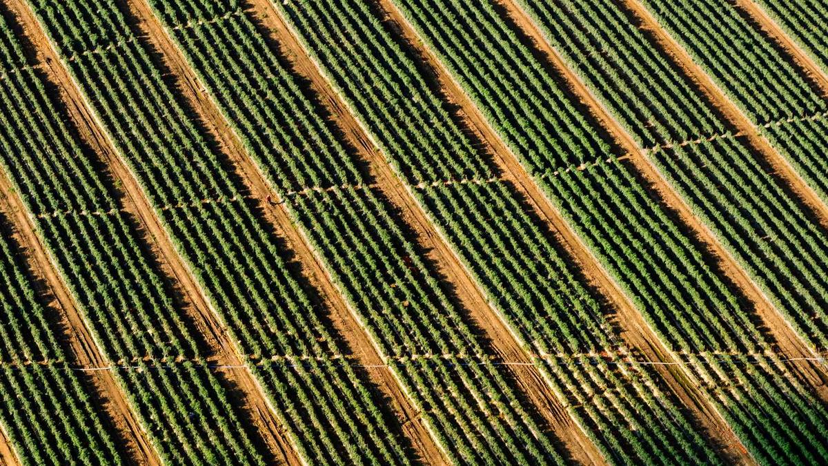 江门新会疫情今天最新消息感染人数多少