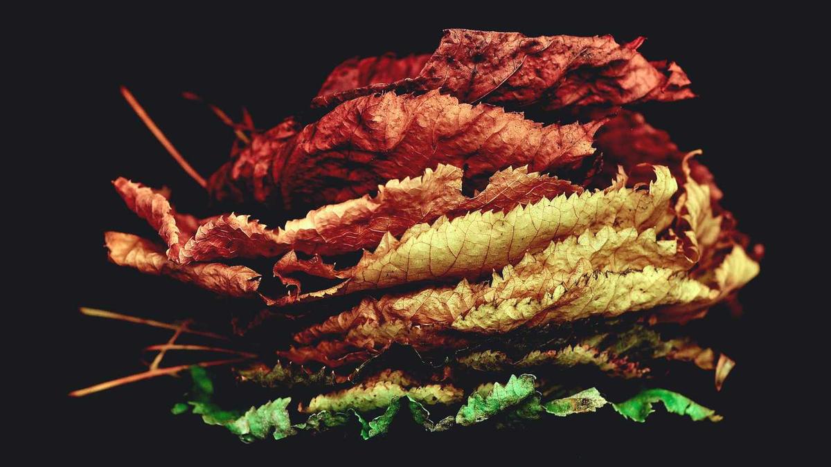 公寓房产权40年到期后房子还是自己的吗