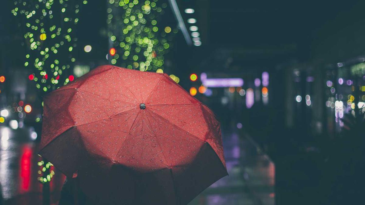 虹桥品汇进博好物延展暨 BOX 音乐生活节盛大启幕