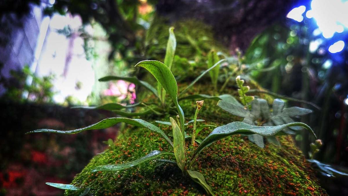 淮南王的淮南封土现今的哪里?