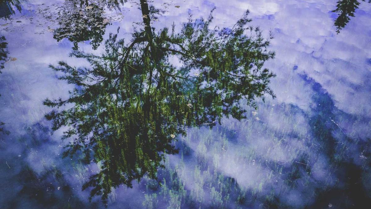 青岛什么时候降温