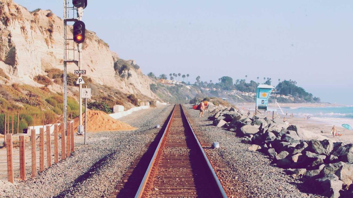 高鹏说药材:2024年2月21日草果、白豆蔻等反弹,苦参持续坚挺