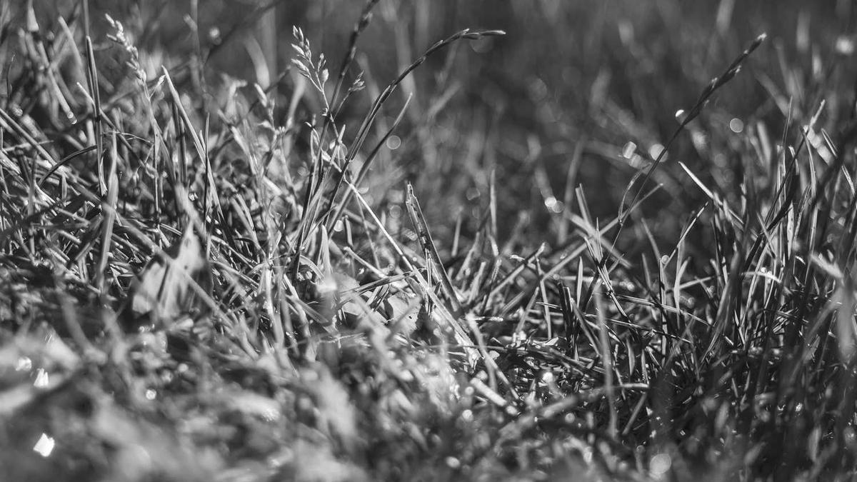 “鄂尔多斯”在蒙古语中是什么意思?