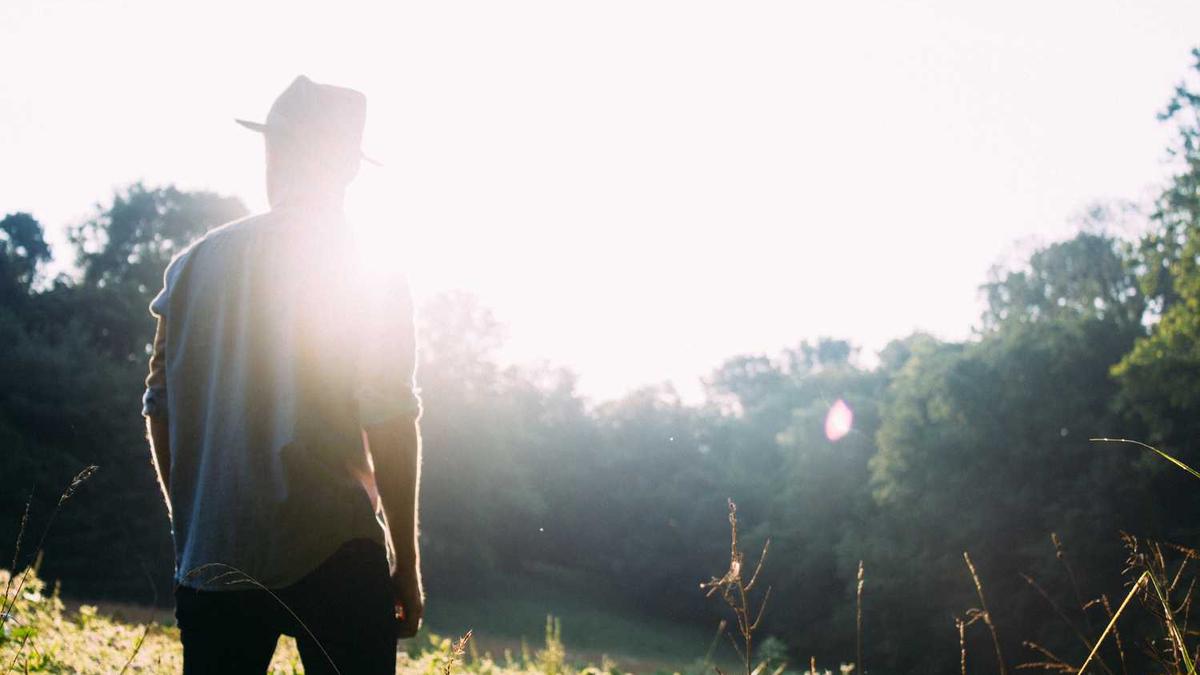 女仆电影剧情解析