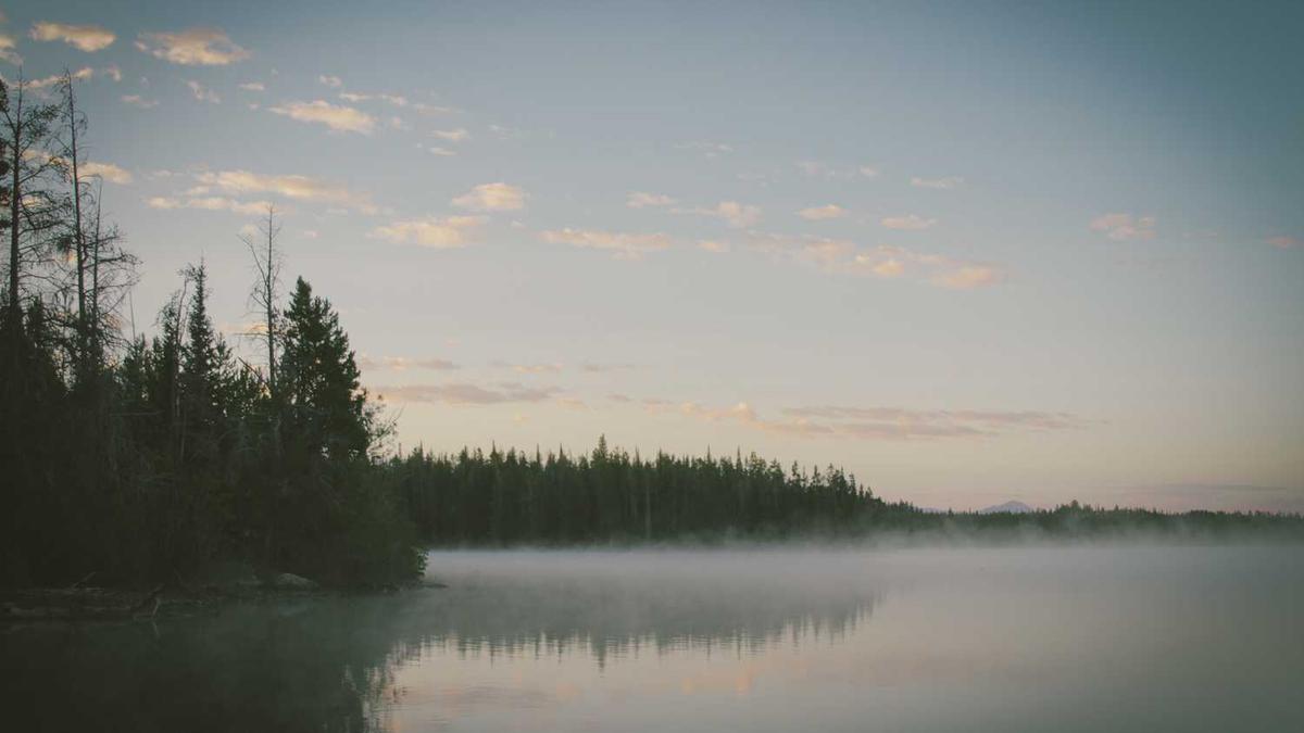 全运会观众能量包里有啥现场开箱。。