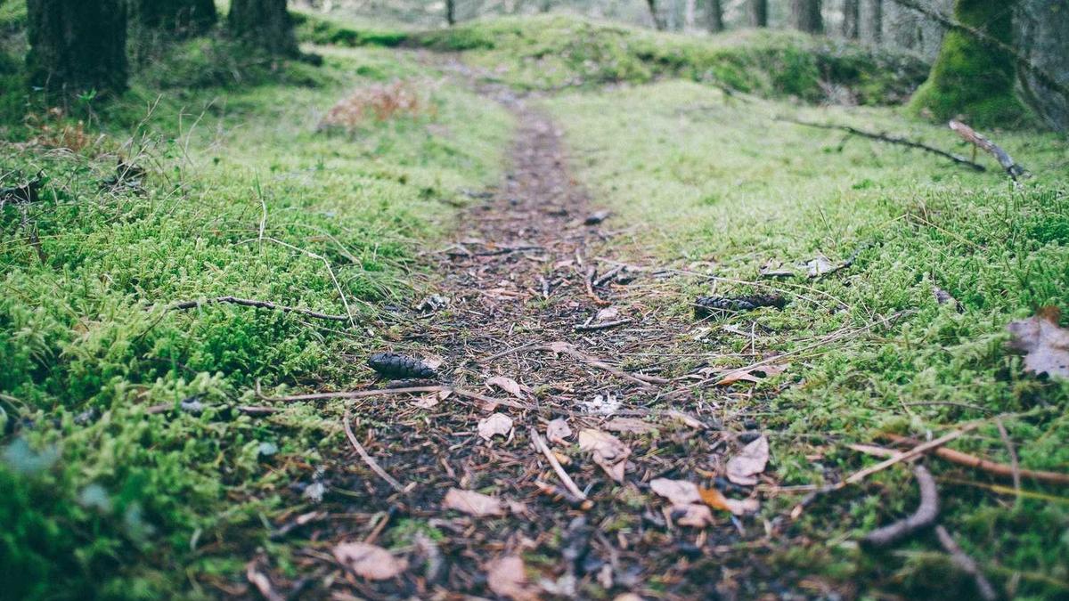 长春市灯泡电线有限公司现在怎么样