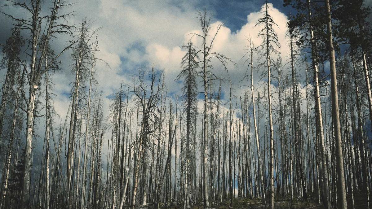 广西梧州学院简介
