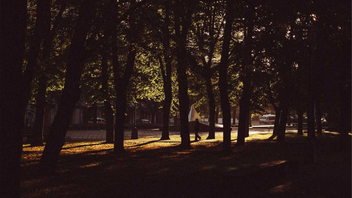 梧州市委书记强调发展六堡茶产业要以好字优先