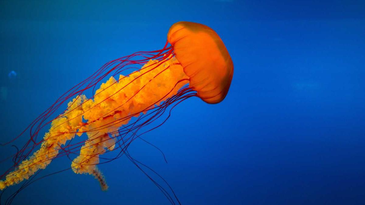 2026年还公务员还有残疾人专岗吗