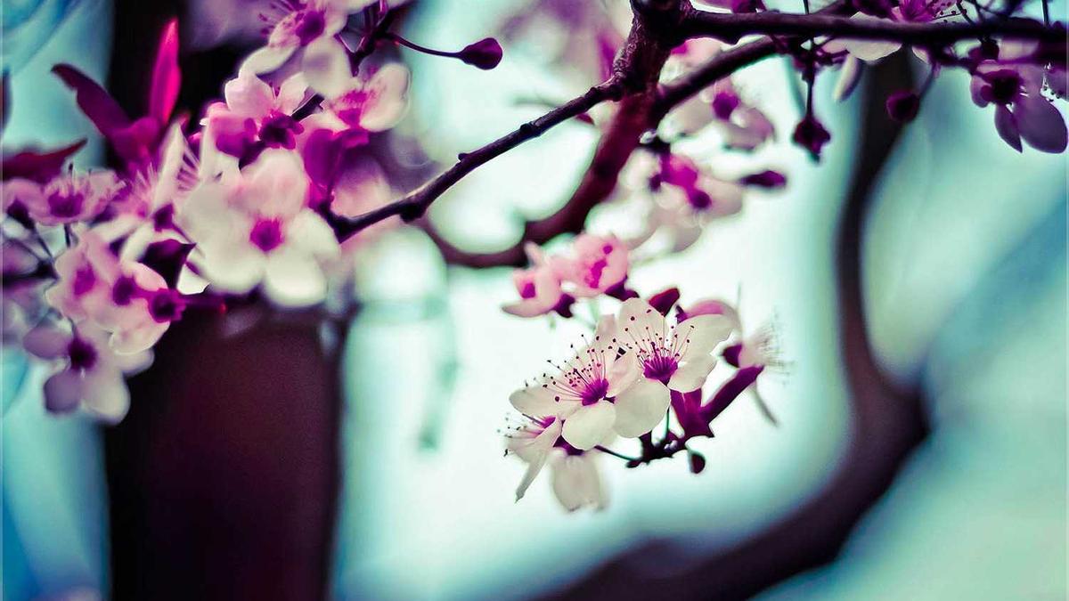 潍坊理工学院有几个校区啊?