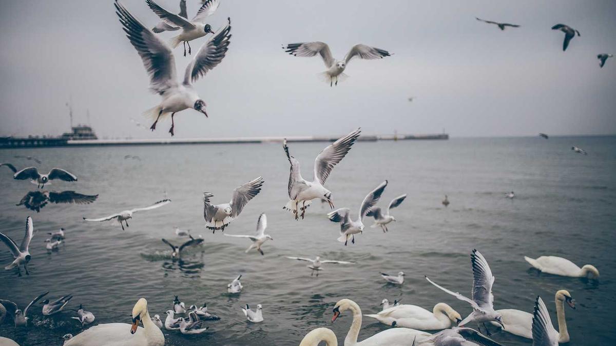 @鹰潭人 10月11日起,这项业务可网上预约