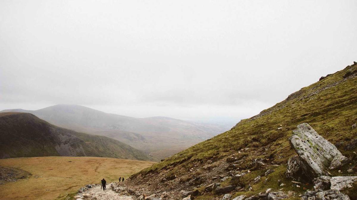 2022年交通安全第一课观后感心得感想5篇