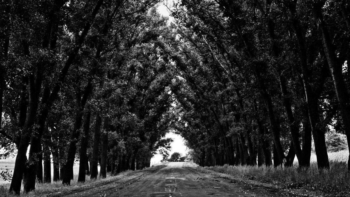 上海58岁阿姨获世乒赛铜牌,这位阿姨是如何做到的?