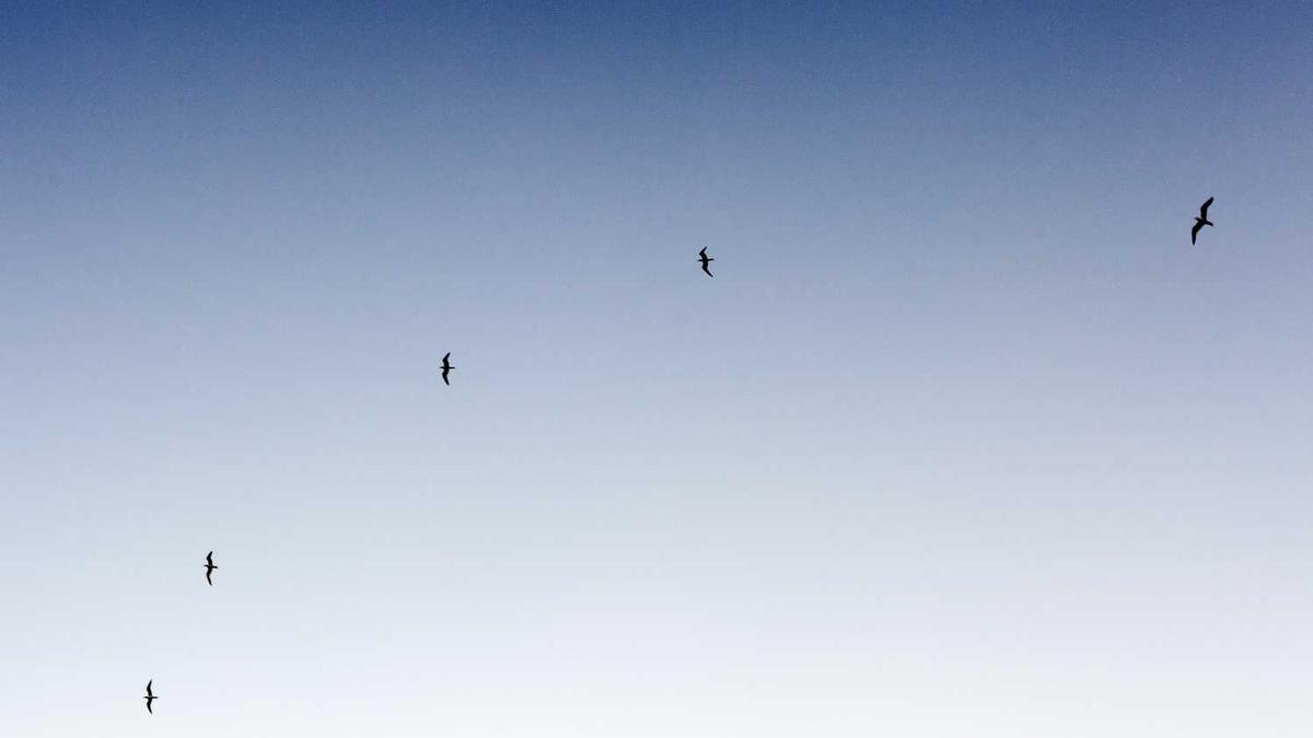 盐城市市统考的分怎么查