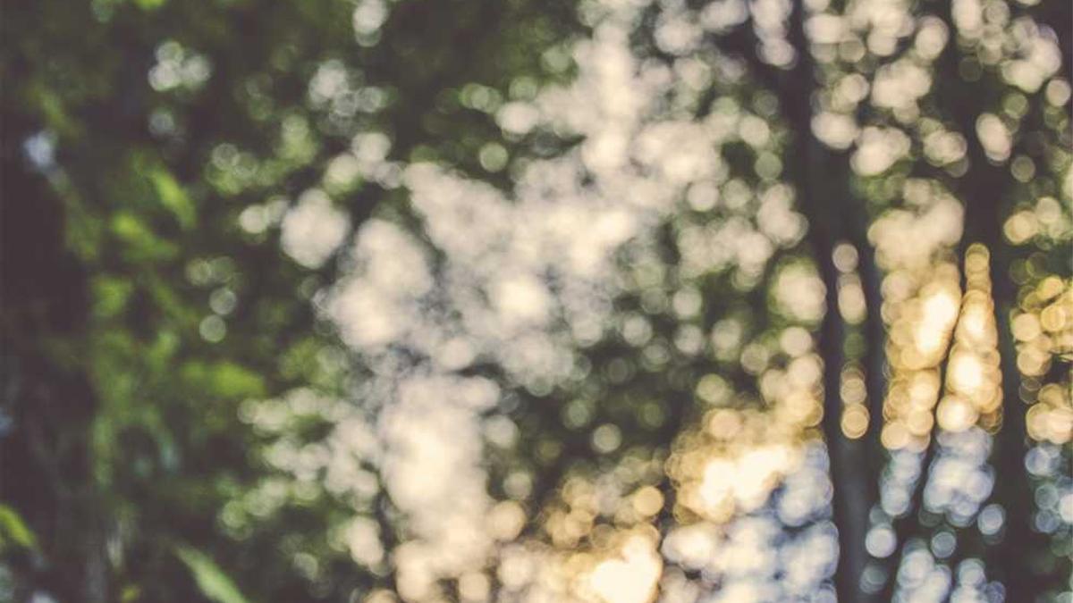 建工每日股票价位