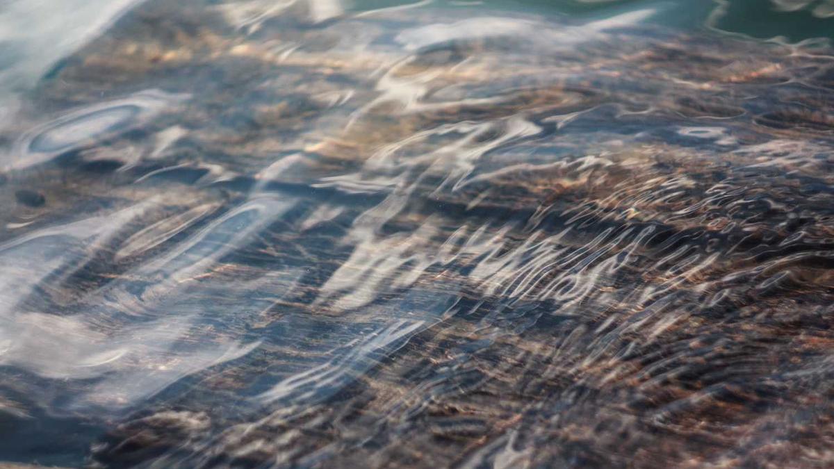 ...和聚合会诱发医学的质变?|中山一院建院111周年?②