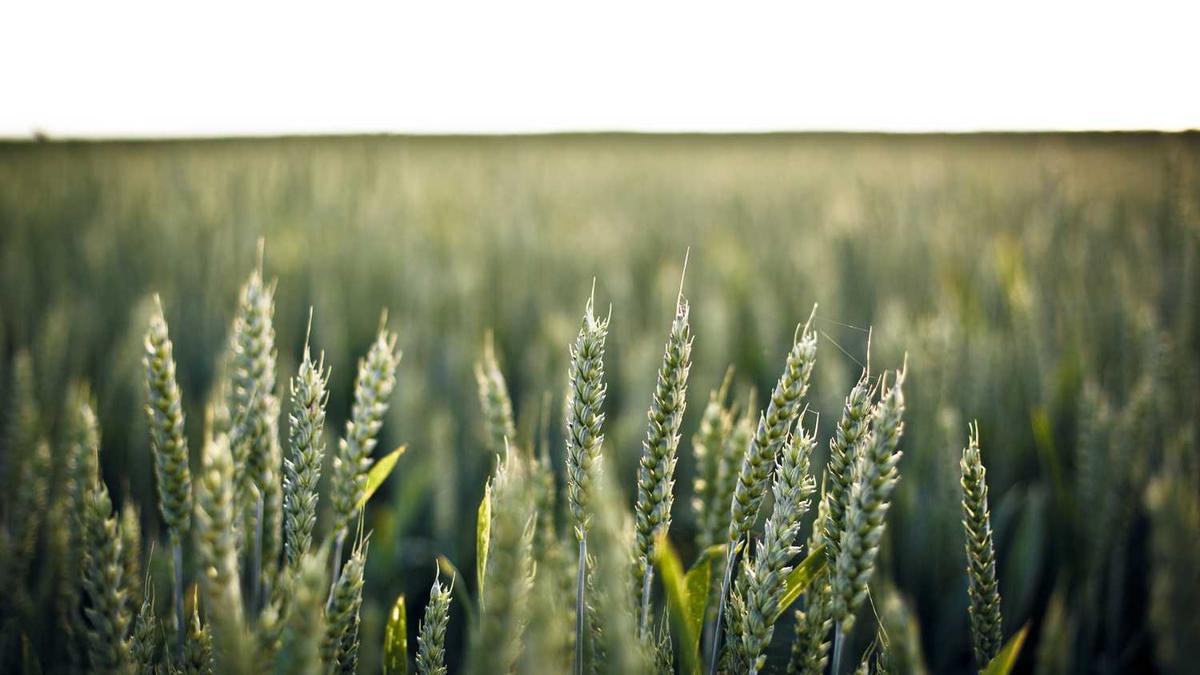 海口哪里好玩的景点推荐