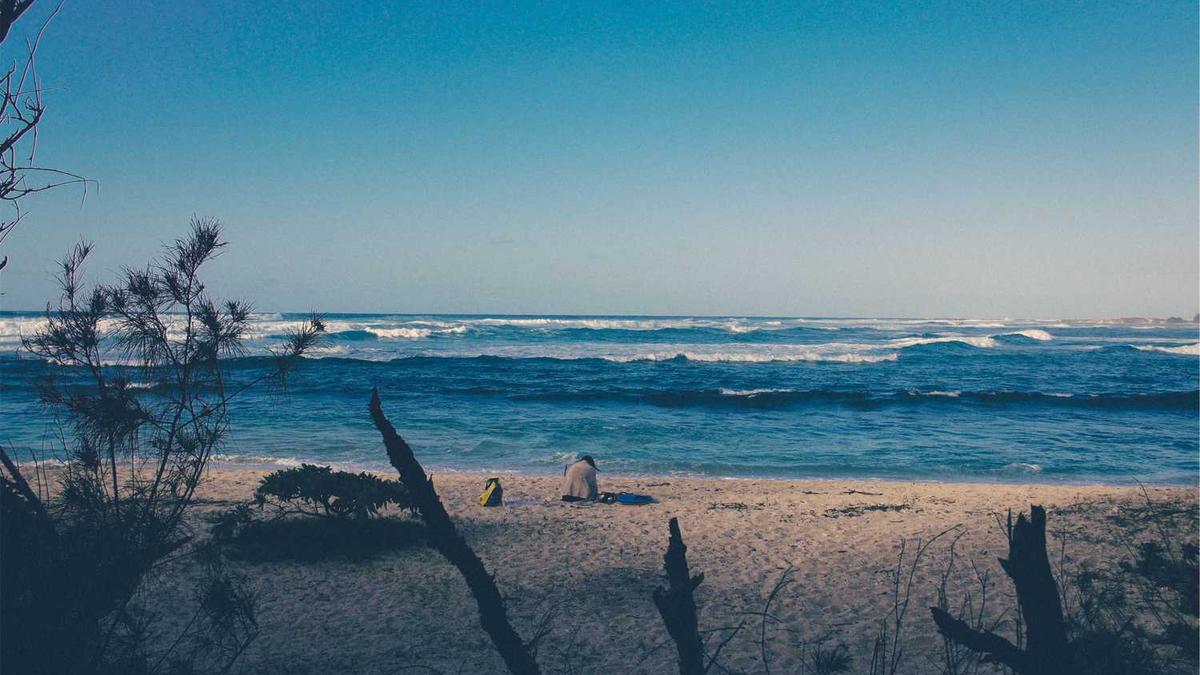 中国的硬核力量来自哪里