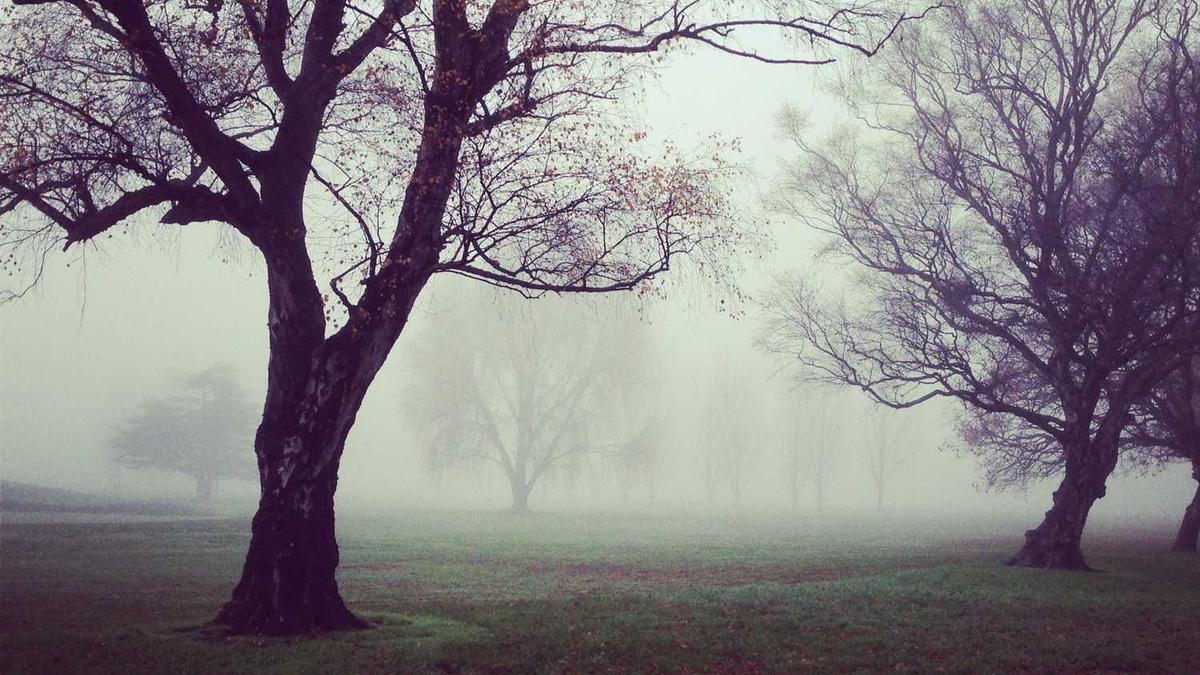 杭州有房产可以直接落户吗