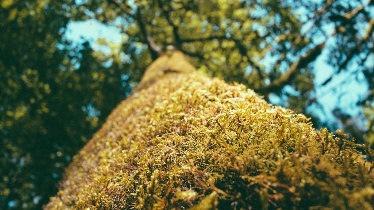 浙江今后三天晴雨相间 局地有短时暴雨需防范