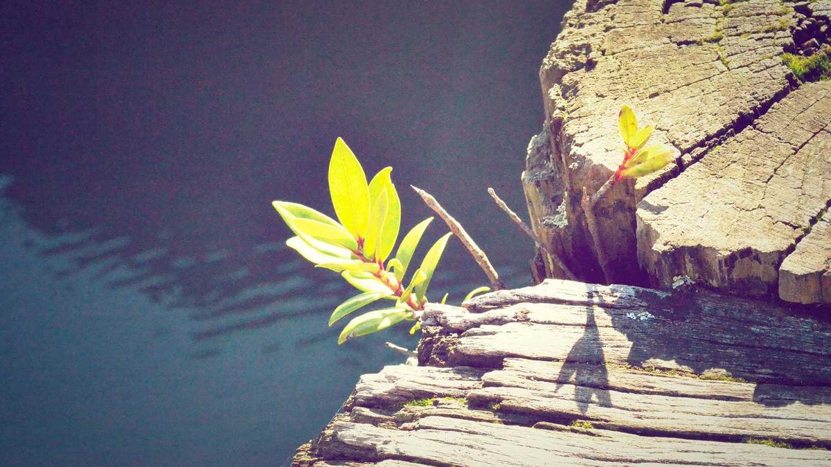 芜湖市市委书记什么级别