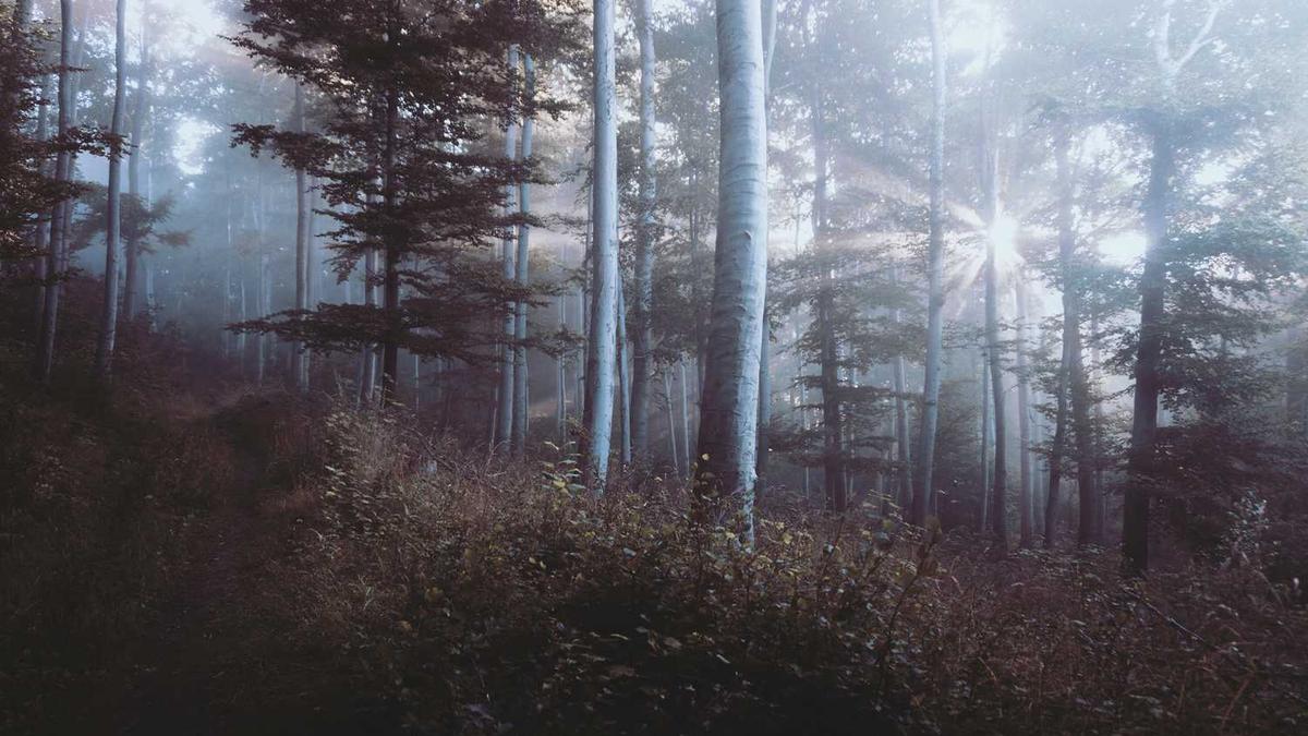 隧道内遇到汽车起火 该冲过去还是往后跑?