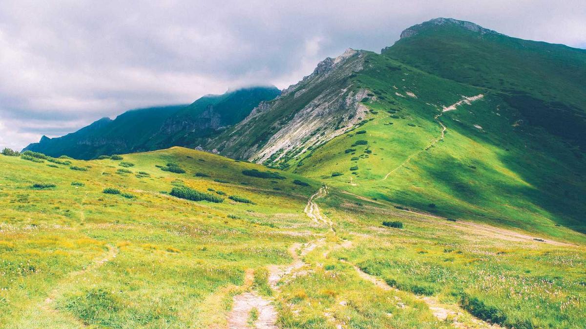 “航母级”国家基金!刚刚宣布