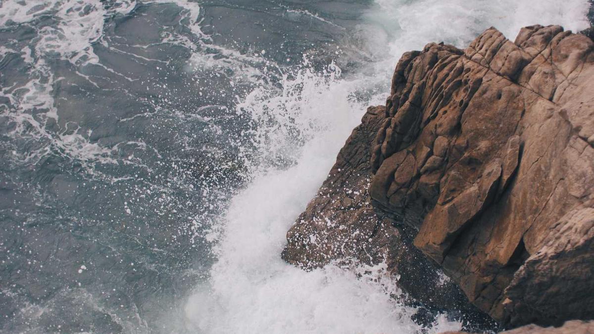 王云鹏的任免信息