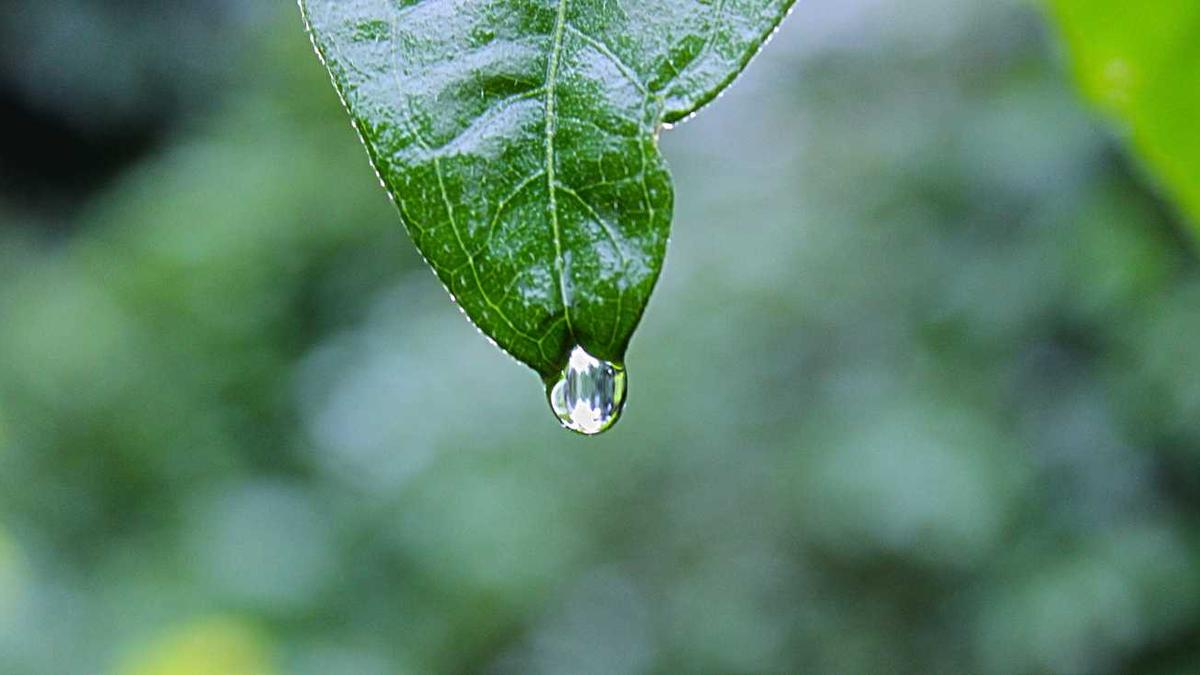 宿迁算大城市吗