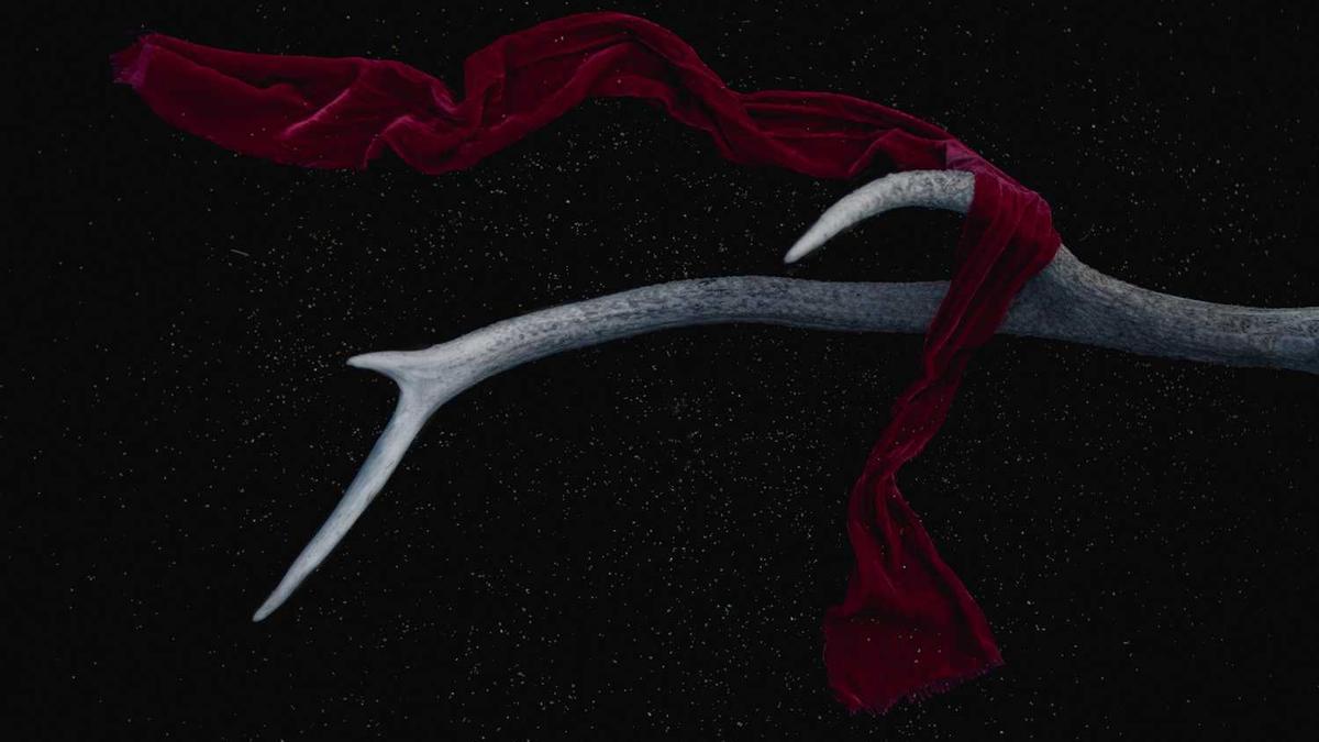 河南今天雨雪雾和霾齐来扰 夜间起大风降温“上线”