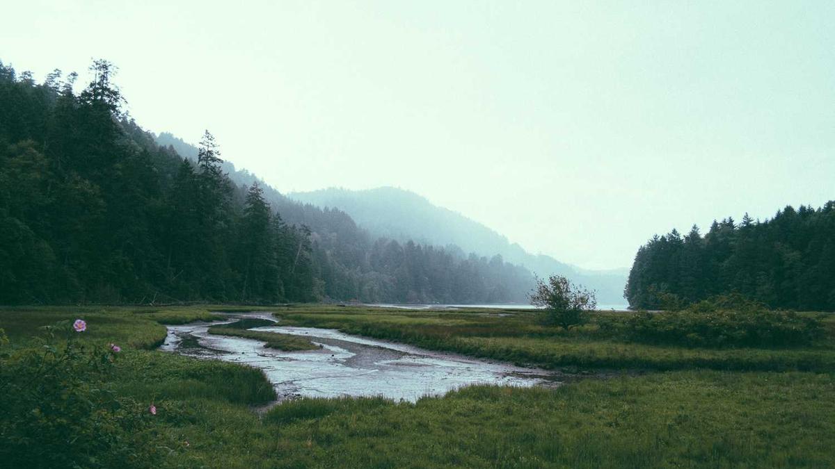 衡阳殡仪馆到四一七怎么坐公交?