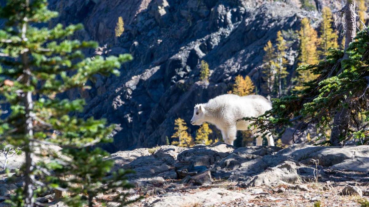 岳阳是哪个省 属于哪个省份 岳阳是哪里的