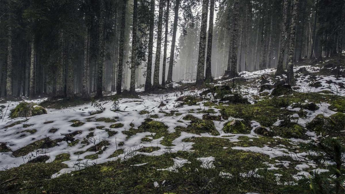 铜陵将再添一座长江大桥,为公铁两用桥,为何很多人却说浪费?