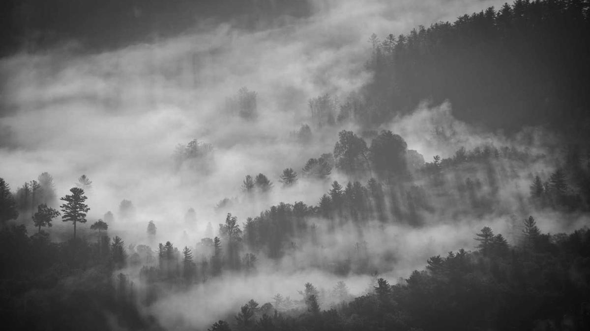 鹤壁市所有高中排名