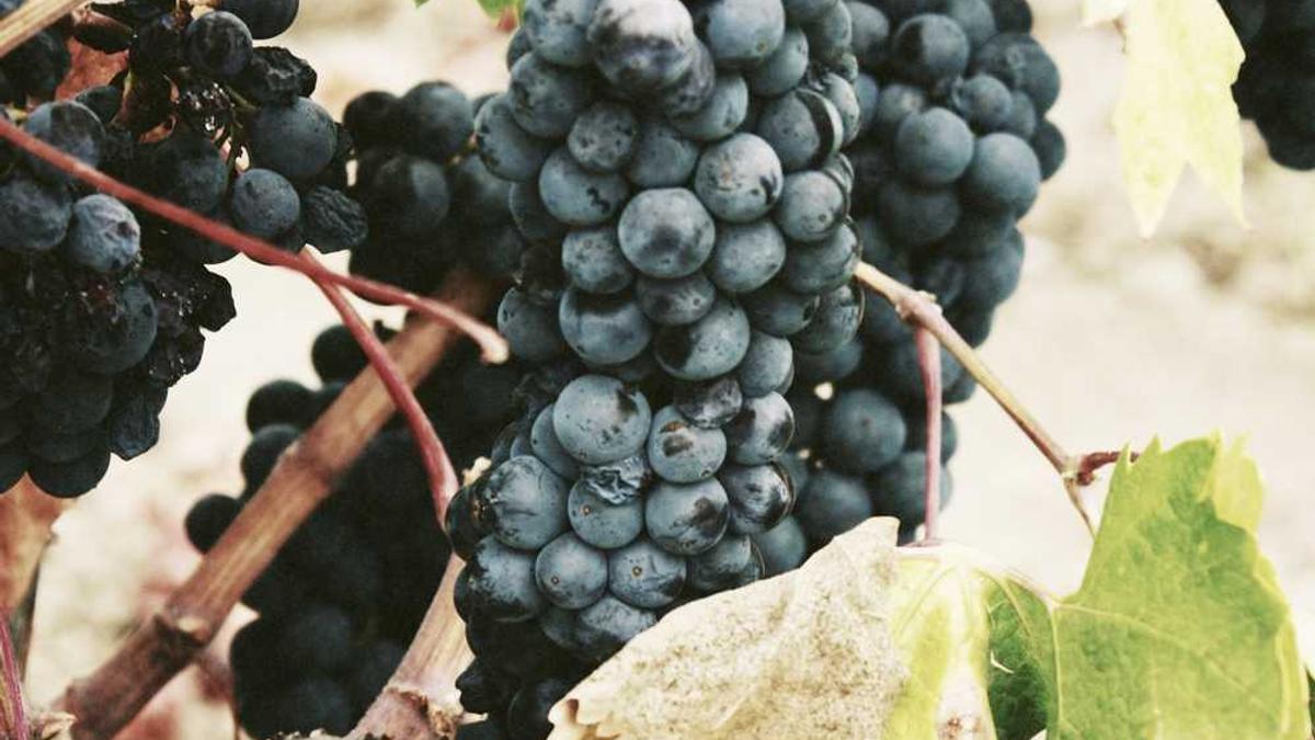 鹤壁私立高中哪个好