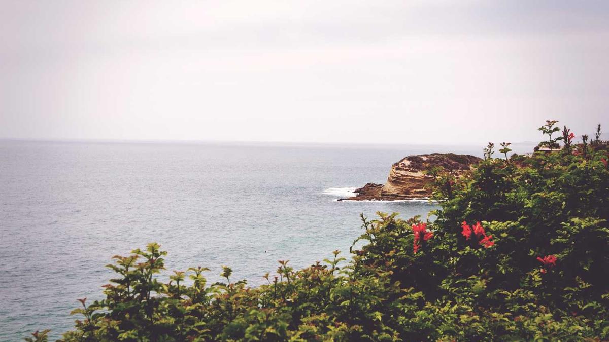 枣庄市民享受便捷车险服务