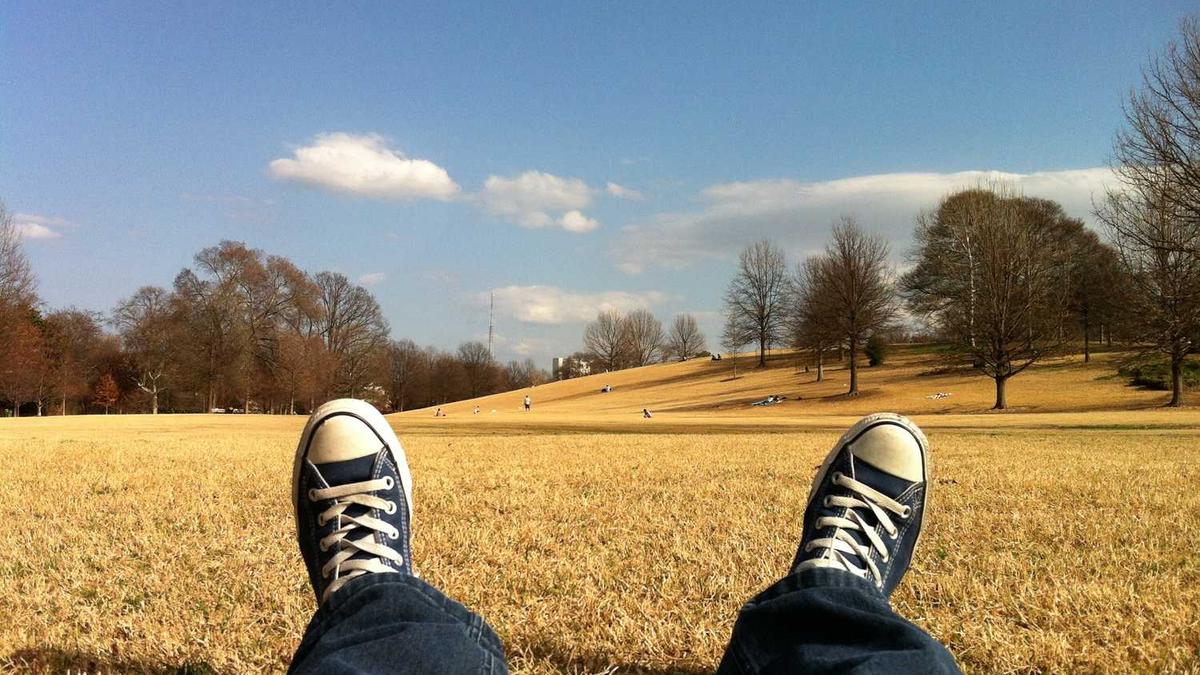 2025河北公棚秋棚有哪些