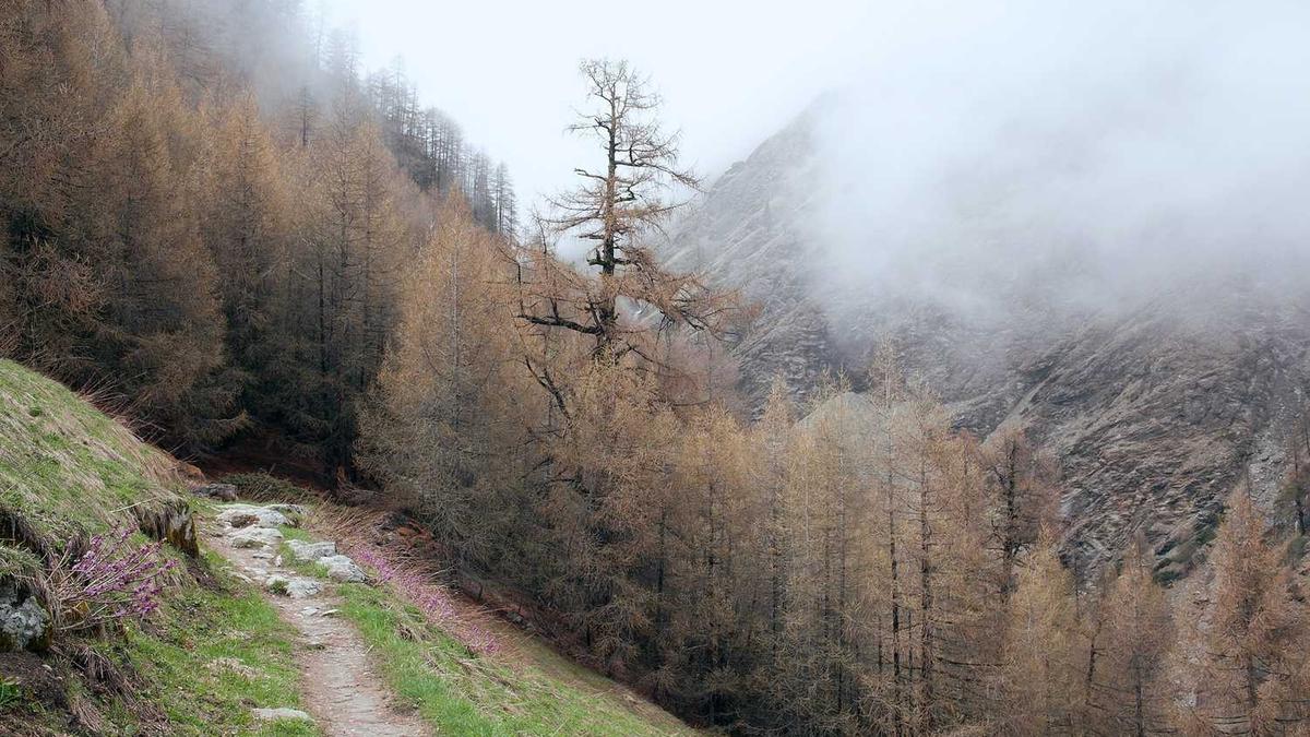 央正建设集团有限公司--筑梦美好愿景